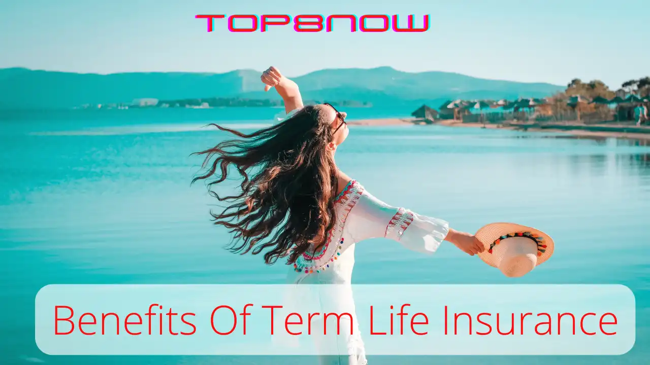 best term life insurance, best life insurance companies, best term life insurance reddit, best term life insurance companies reddit, reddit best term life insurance,